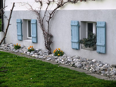 yellow petaled flowers and bare tree beside wall thumbnail