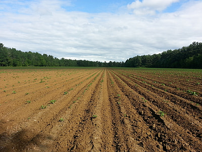 landscape photography of farm field thumbnail