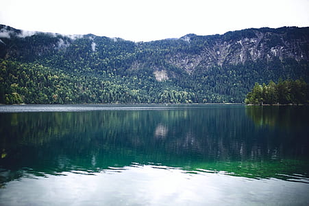 landscape, nature, water, trees thumbnail