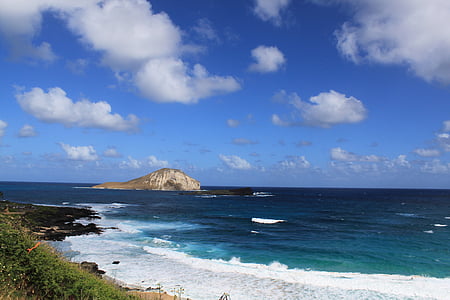 scenery of beach shore thumbnail