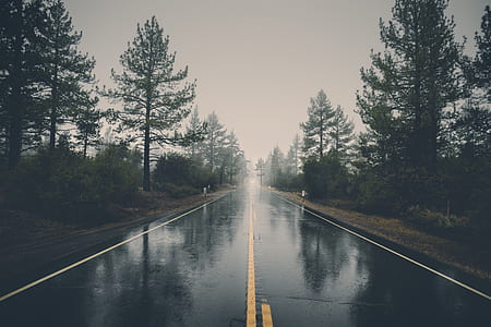 gray asphalt road thumbnail