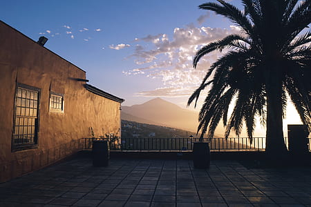 Landscape Photography of Brown Painted House Near Green Leaf Tree during Golden Hours thumbnail
