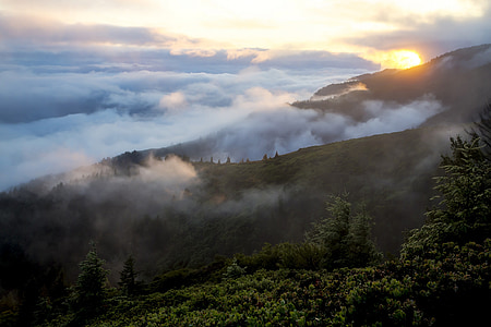 green leafed trees within mountain range during daytime thumbnail