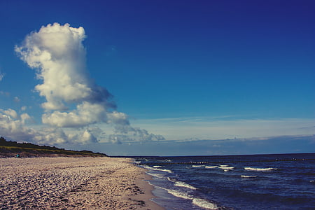 seashore under blue sky thumbnail