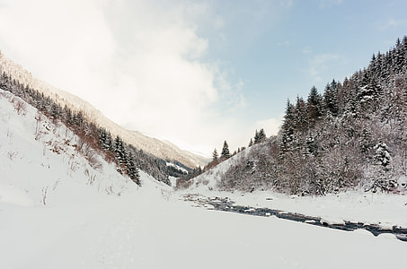 Winter Landscape thumbnail