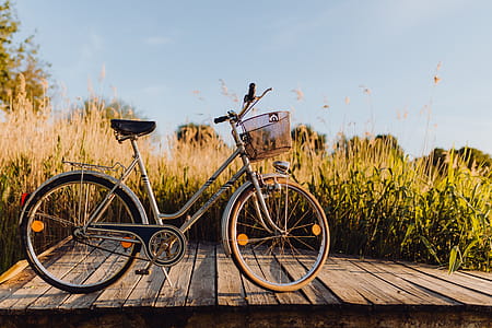 Bicycle with basket on the pier in bright sunset light thumbnail