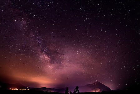 silhouette of trees under starry night thumbnail