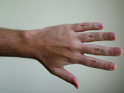 person showing left hand thumbnail