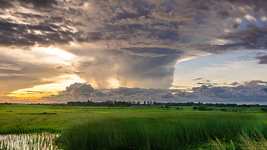 White Clouds and Green Field Horizon thumbnail