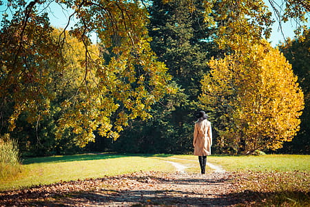 Woman Walking in a Park in Autumn thumbnail