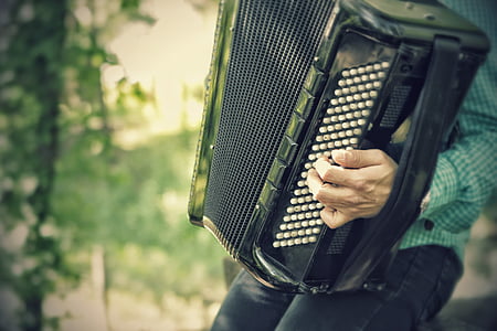 closeup photography of person holding accordion instrument thumbnail