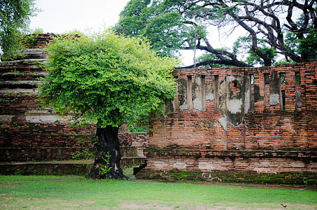 Temple wall in Thailand thumbnail