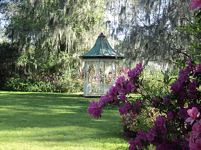 photography of pink flowers near white gazebo thumbnail