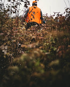 man win orange jacket walking on grass thumbnail