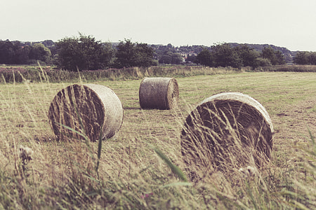 three hay rolls on green grass field thumbnail
