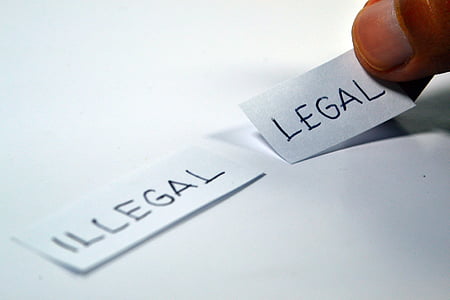 person holding Illegal and Legal printing papers thumbnail