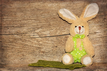 brown bunny wearing green overalls plush toy thumbnail