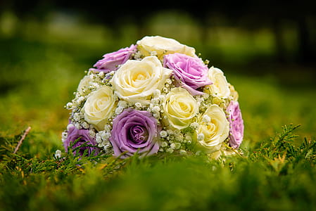 beige and pink floral bouquet on green grass thumbnail