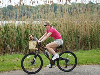 woman riding on brown bicycle thumbnail
