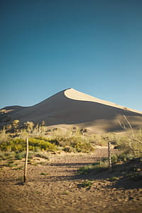 Green Grass Across Desert Under Blue Sunny Sky thumbnail