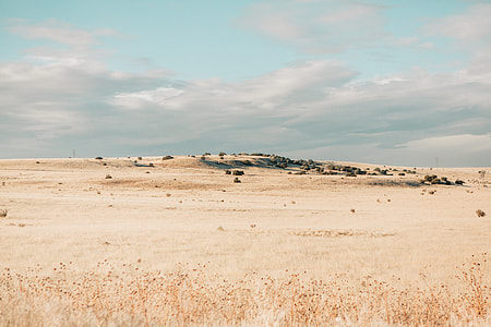 landscape photography of desert thumbnail