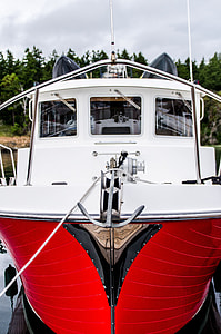 white and red ship near forest under blue sky thumbnail