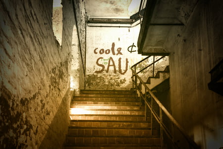 coole sau wall paint near stairs thumbnail