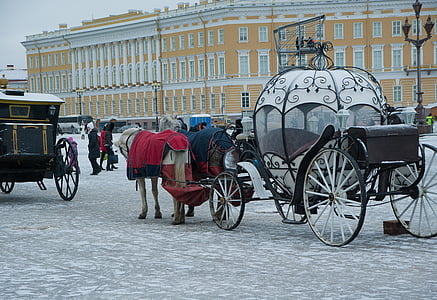 white and brown horse carriage thumbnail