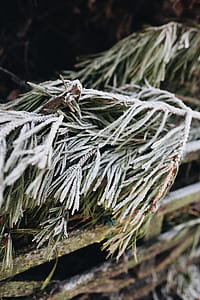 Winter freeze thumbnail