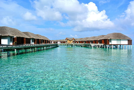 calm body of water thumbnail