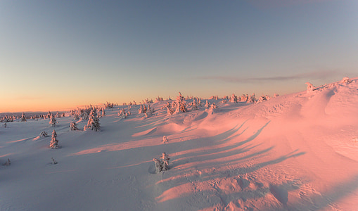 snow capped field with trees during daytime thumbnail