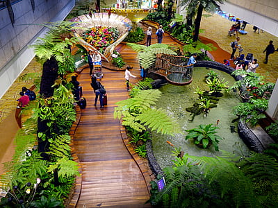 bird's eye-view photography of people surrounding the pond thumbnail