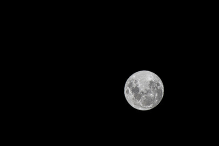 white moon thumbnail