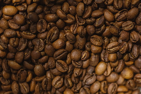 coffee grounds thumbnail