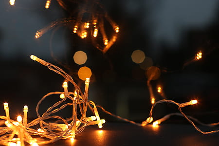 Shallow Focus Photography of String Lights thumbnail