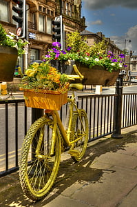 yellow bicycle flower pot beside rail thumbnail