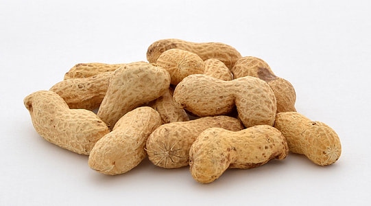 brown peanuts thumbnail
