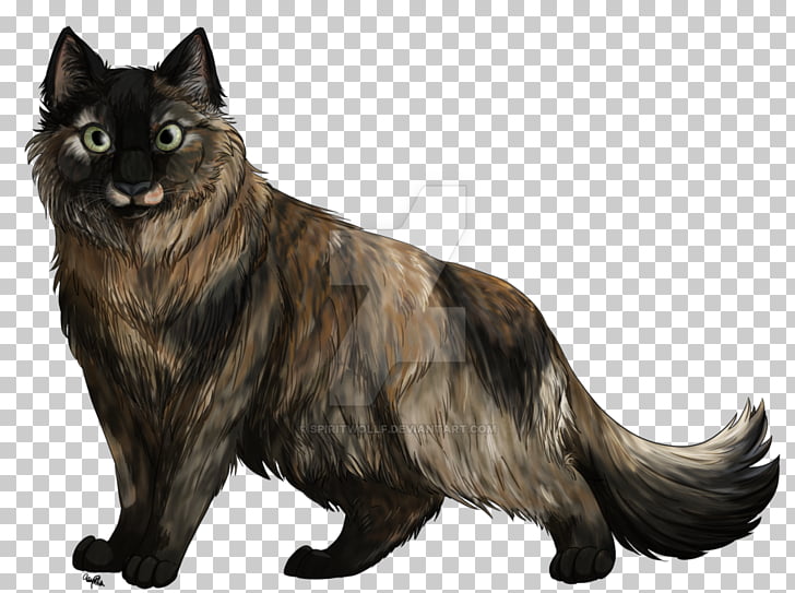 Whiskers Dog Breed Cat Fur Tortoiseshell Cat Png Clipart Free