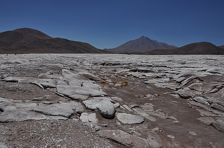 gray and brown field under blue clear sky during daytime thumbnail
