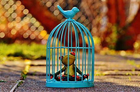 green frog figurine in teal birdcage thumbnail