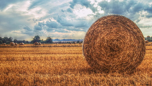 round hay bale thumbnail