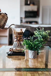 person pouring hot water on white coffee filter thumbnail