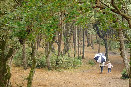 person with child walking on forest during daytime thumbnail