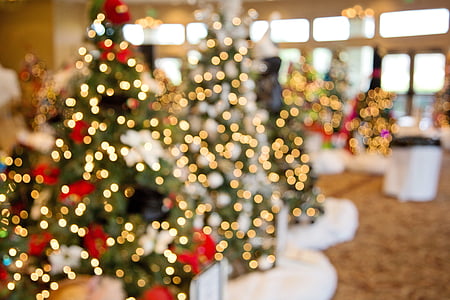 green Christmas trees thumbnail