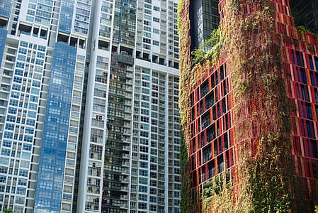 gray and white city buildings thumbnail