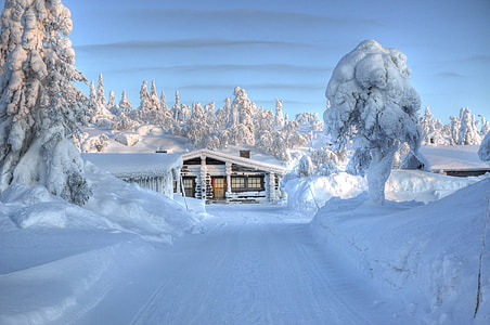 white capped houses and trees during daytime thumbnail