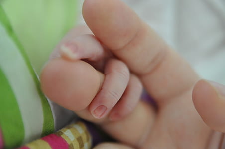 photography of infant and person holding hands thumbnail