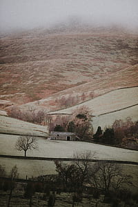 barn house in hill painting thumbnail