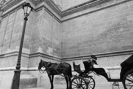 grayscale photography of horse beside post lamp thumbnail