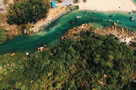 Aerial Photography of Body of Water and Trees thumbnail
